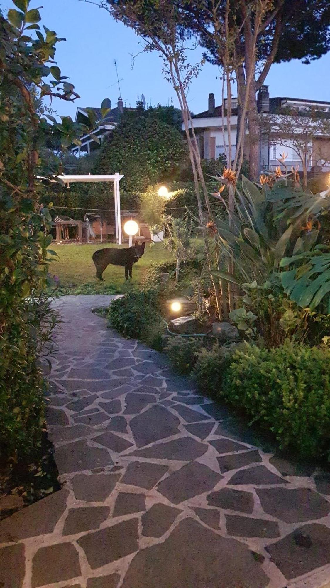Roma - Casalpalocco - Amipsia Hotel Casal Palocco Ngoại thất bức ảnh