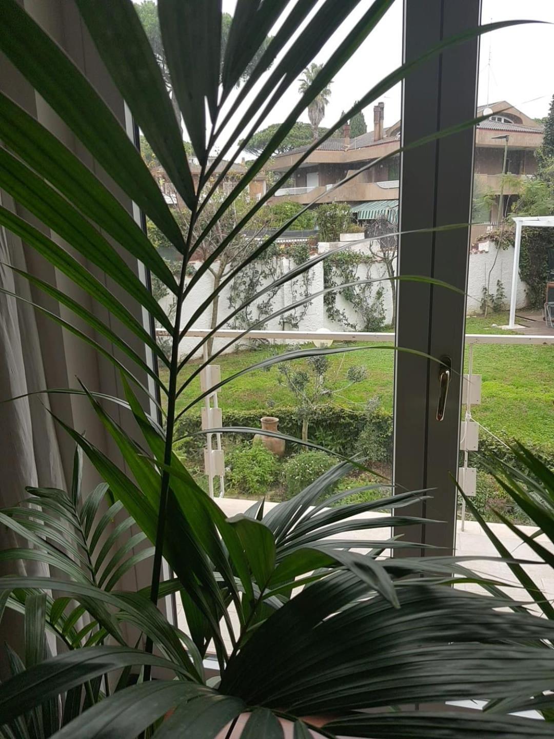 Roma - Casalpalocco - Amipsia Hotel Casal Palocco Ngoại thất bức ảnh